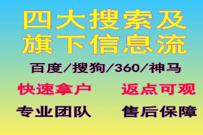 落地页在SEM优化中的重要性及成功案例